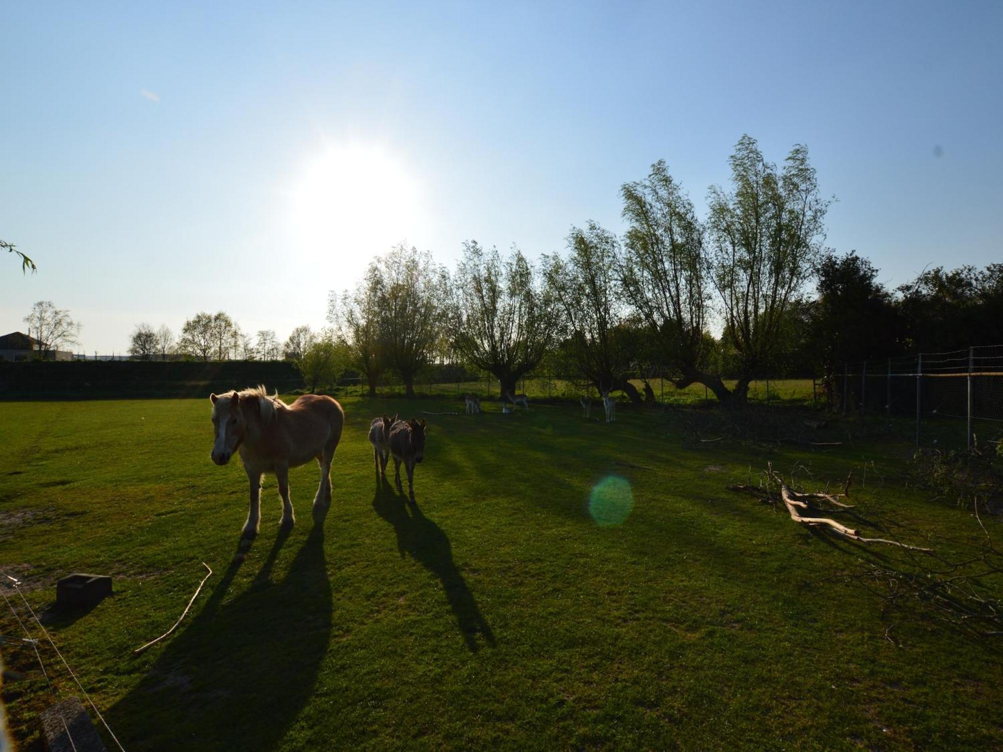 Cozy Holiday Home In Bergen Op Zoom With Garden Kültér fotó